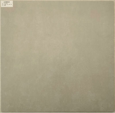 Matt Floor Interior Matte Porcelain Tile 60x60cm Light Grey