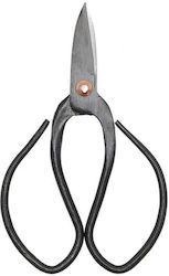 Pruning Shears