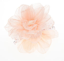 with Flower Pink