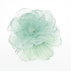 with Flower Green