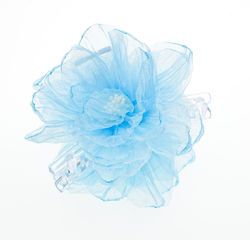with Flower Blue
