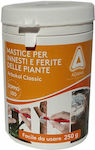 Pflanzenimpfpaste 250gr Arbokol (005528)