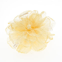 with Flower Yellow