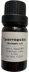Φύση Αρωματικό Έλαιο Τριαντάφυλλου 10ml
