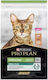 Pro Plan OptiRenal Dry Food for Neutered Cats with Salmon / Rice 10kg