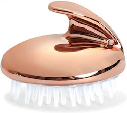 Brush Massage for the Head F26404