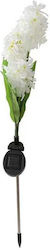 Set of 2 Spiked Solar Lights Flower IP65