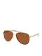 Michael Kors Women's Sunglasses with Gold Metal Frame and Brown Lens