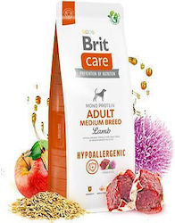 Brit Care 1kg Ξηρά Τροφή για Ενήλικους Σκύλους Μεσαίων Φυλών με Αρνί