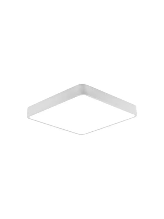 Braytron Ceiling Mount Light White with Integrated LED