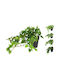 Hanging Artificial Plant 25cm 1pcs