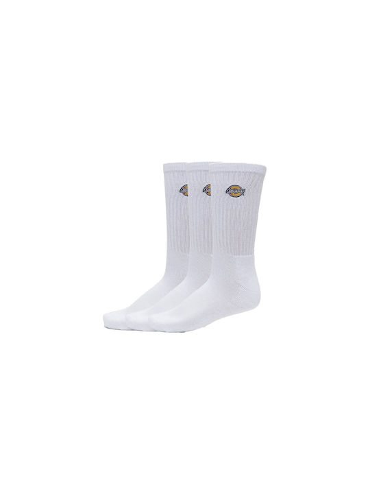 Dickies Valley Grove Men's Socks WHITE