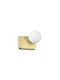 Ideal Lux Modern Lamp Wall with Socket G9 Gold 19x16x15cm