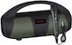 New Rixing Boxă Karaoke Cu Microfon Cu Fir NR2055 Verde