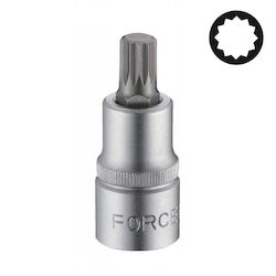 Force Walnut with Spline Head and Socket 1/2''