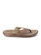 Men's Flip Flops Brown