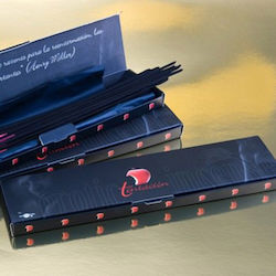 Tentacion Aromatic Sticks with Pheromones with Scent Cinnamon 20pcs Tentacion Aromatic Sticks with Pheromones with Scent Cinnamon 20pcs