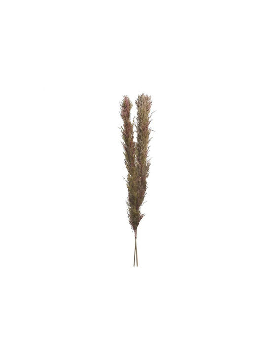 Inart Dried Plant Brown 150cm 1pcs