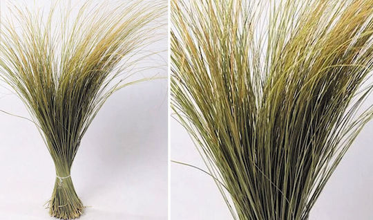 Strauß aus künstlichen Blumen Gras Grün 120cm Faitakis Pack
