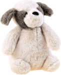 Jokomisiada Plush Dog 20 cm