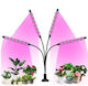 Desk Grow Light with LED and Power 80W 65cm.