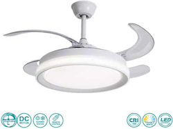 Lineme Caesio 106cm mit Leuchte Transparent / Weiß Lineme Caesio 106cm mit Leuchte Transparent / Weiß