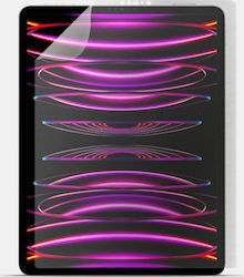 SBS Displayschutzfolie SBS Displayschutzfolie