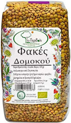 Το Περιβόλι Φακές Bio 500gr Το Περιβόλι Φακές Bio 500gr