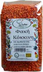 Το Περιβόλι Φακές Bio 500gr Το Περιβόλι Φακές Bio 500gr