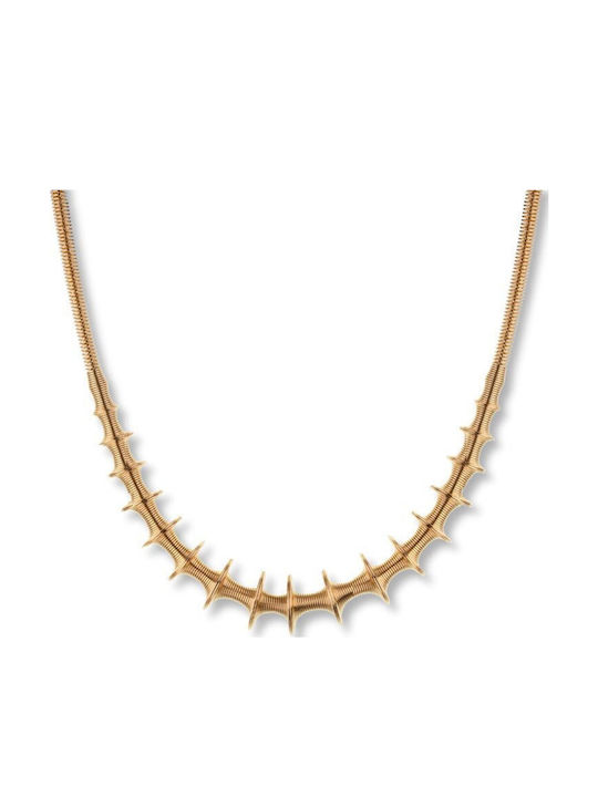 Paraxenies Chain Neck made of Steel Gold-plated