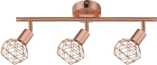 Triple Spot in Copper Color