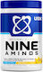 Usn Nutrition Nine Amino Acids 330 g Pineapple
