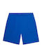 Men's Shorts Blue
