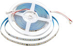 V-TAC LED Strip Power Supply 24V with Warm White Light Length 10m SMD2835