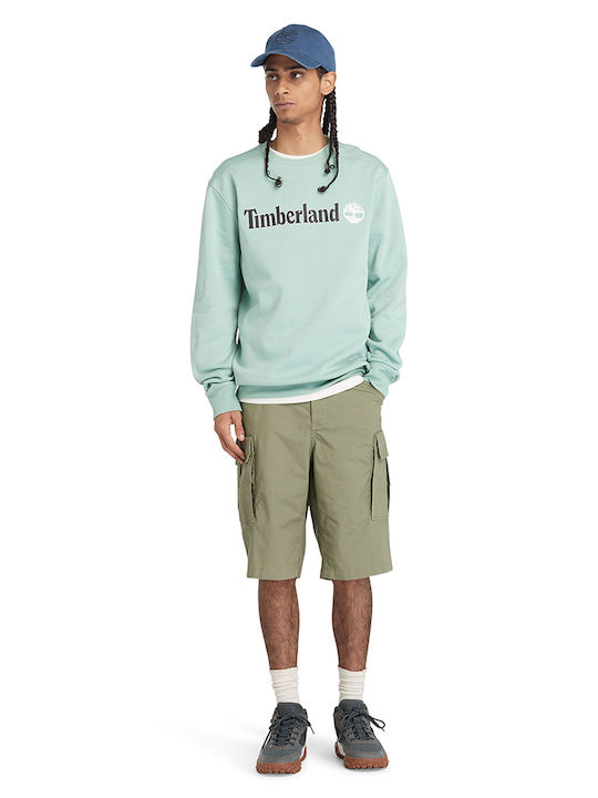 Men's Shorts Cargo Cassel Earth