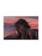 Αφίσα Queen And Sunset 90x61cm