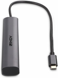 Lindy USB 3.2 Hub 4 Porturi cu conexiune USB-C Gri