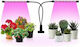 Επιτραπέζιο Grow Light με LED