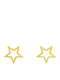 Earrings Gold Star earrings 14k Sko01922