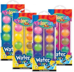 Watercolour Paints 12 Colours Small Box Colorino