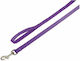 Nobby Dog Leash/Lead Strap Classic in Purple color