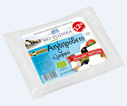 Gelber Käse Bio