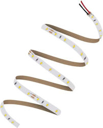 Ledvance LED Лента Ls V 500 865 5 24V 5м