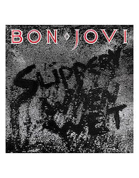 Slippery When Wet Vinyl