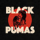 Tbd Black Pumas Vinyl