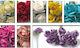 Papierblume 8cm 12Stk/Beutel 0520059 0520059 05...