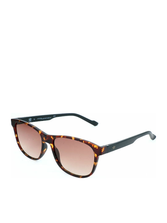 adidas Sunglasses Brown with Acetate Frame & Brown Lens