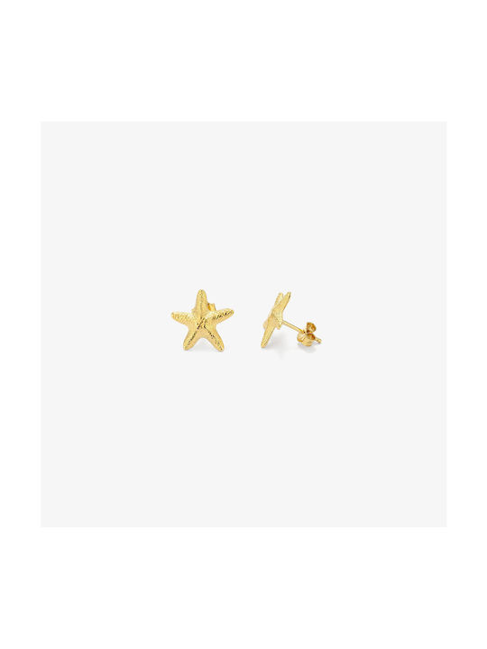 Radiant Earrings made of Steel Gold Plated