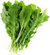 Wilde Rucola Samen
