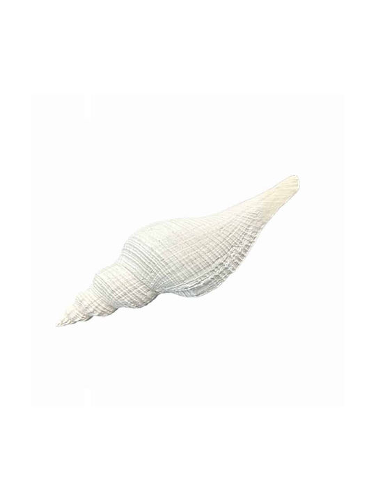 Art et Lumiere Декоративно Морска раковина от Камък 23x8x7см 1бр
